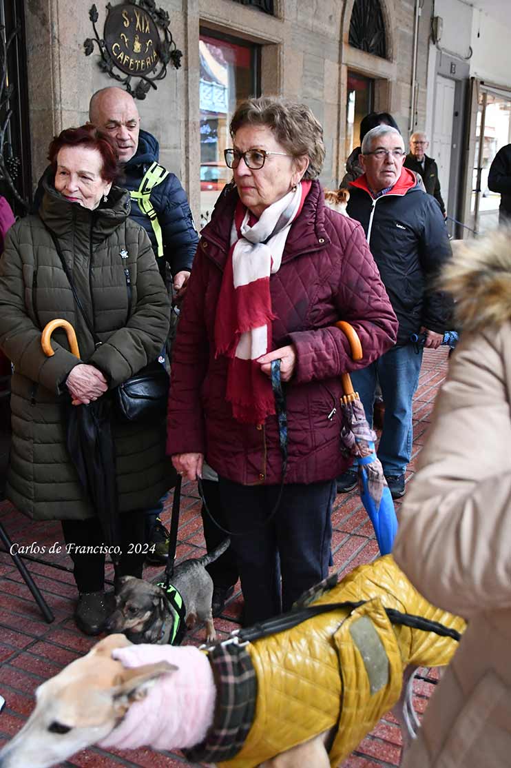 Bendición de los animales en Cacabelos en el día de San Antón