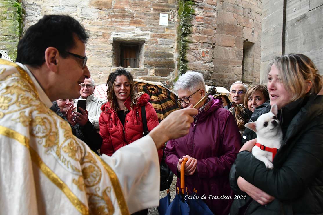 Bendición de los animales en Cacabelos en el día de San Antón