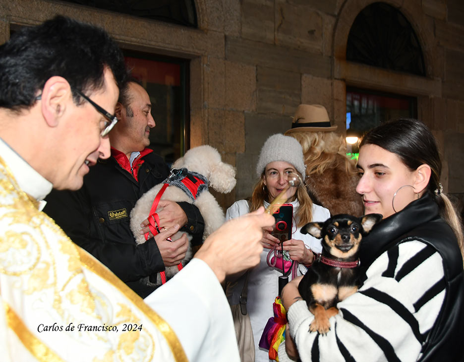 Bendición de los animales en Cacabelos en el día de San Antón