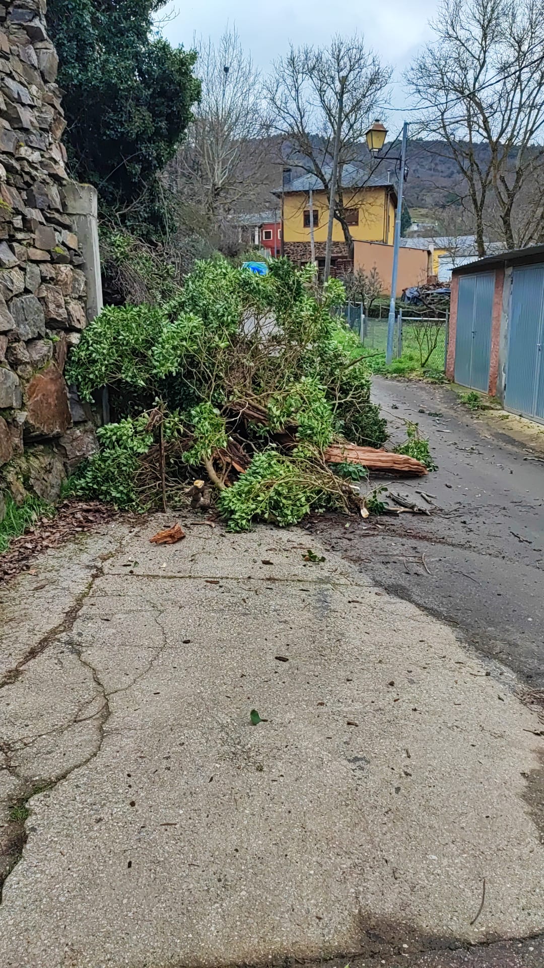 Un árbol caído corta la calle principal de Valdecañada