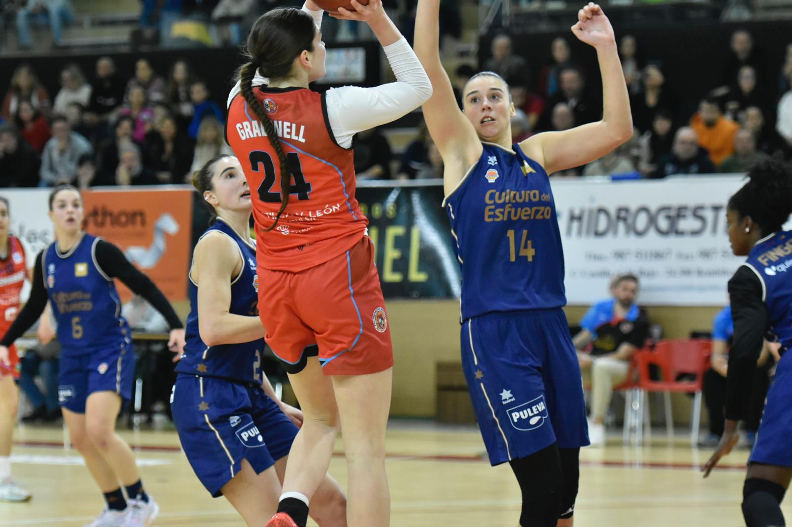 Embutidos Pajariel Bembibre-Valencia Basket