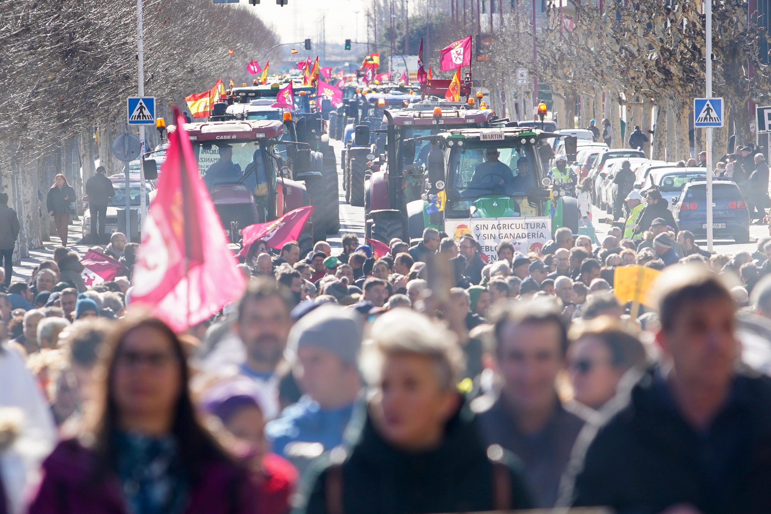 Las organizaciones agrarias Asaja, Ugal-Upa, Ucale-Coag y UCCL celebran una tractorada por las calles de León bajo el lema ‘Exigimos precios rentables y normas flexibles’