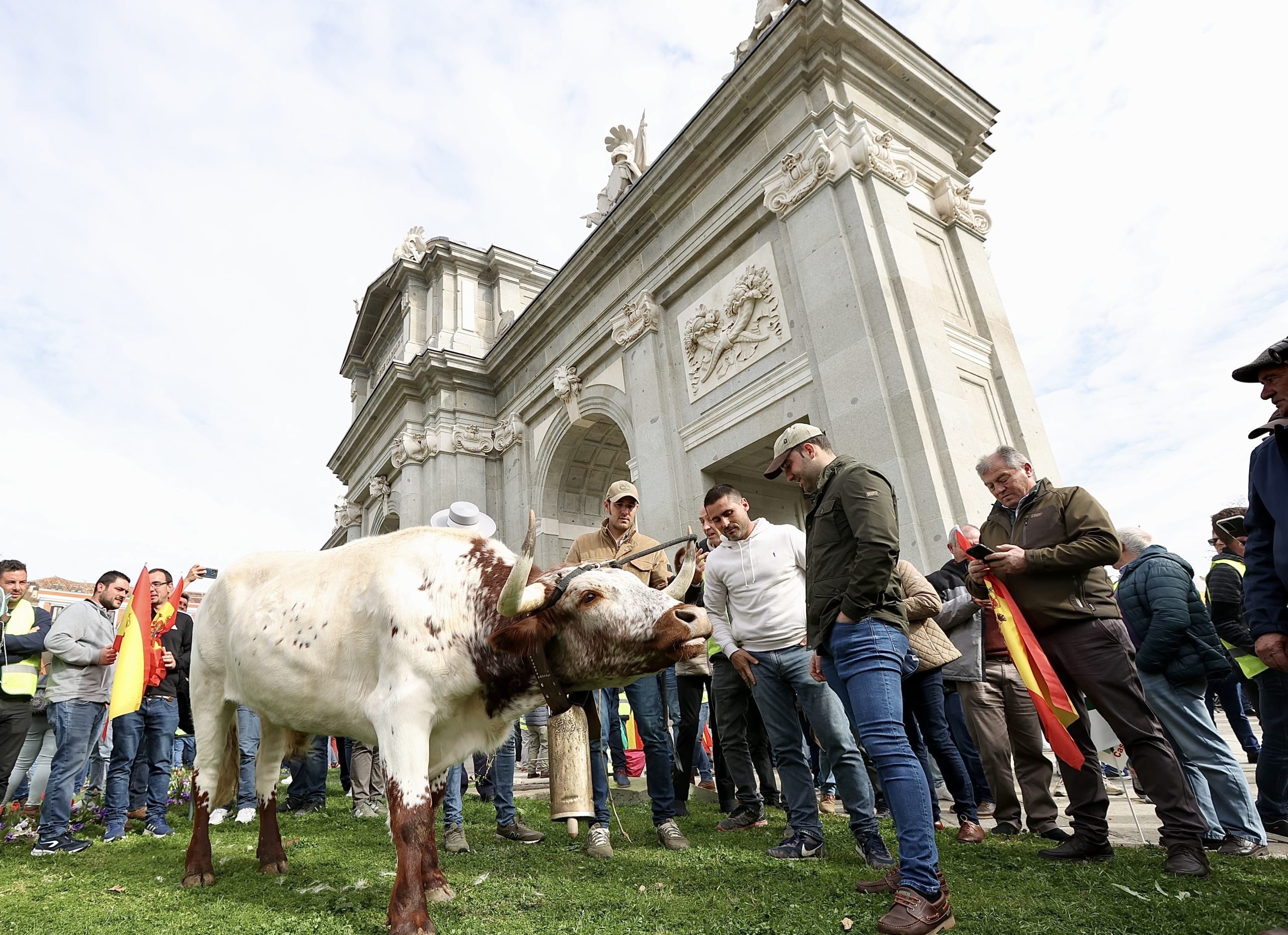 Agricultores y ganaderos de todo el país se concentran en Madrid con una tractorada de protesta por la situación actual del campo en España. / Juan Lázaro