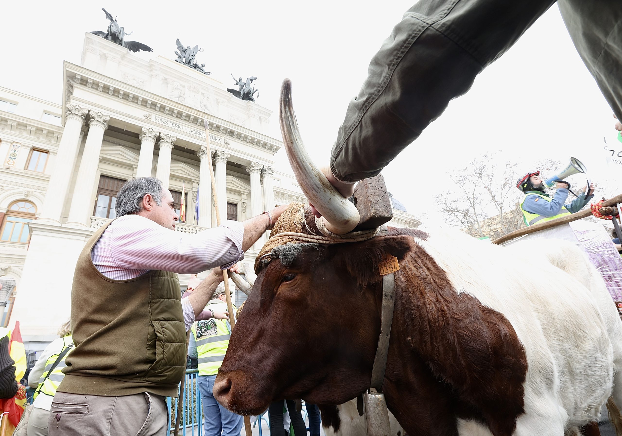 Agricultores y ganaderos de todo el país se concentran en Madrid con una tractorada de protesta por la situación actual del campo en España. / Juan Lázaro