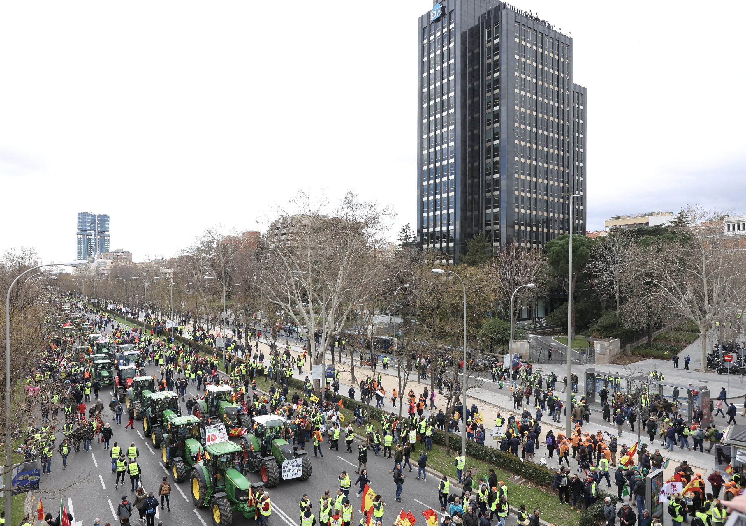 Manifestación de agricultores y ganaderos por el paseo de la Castellana en Madrid