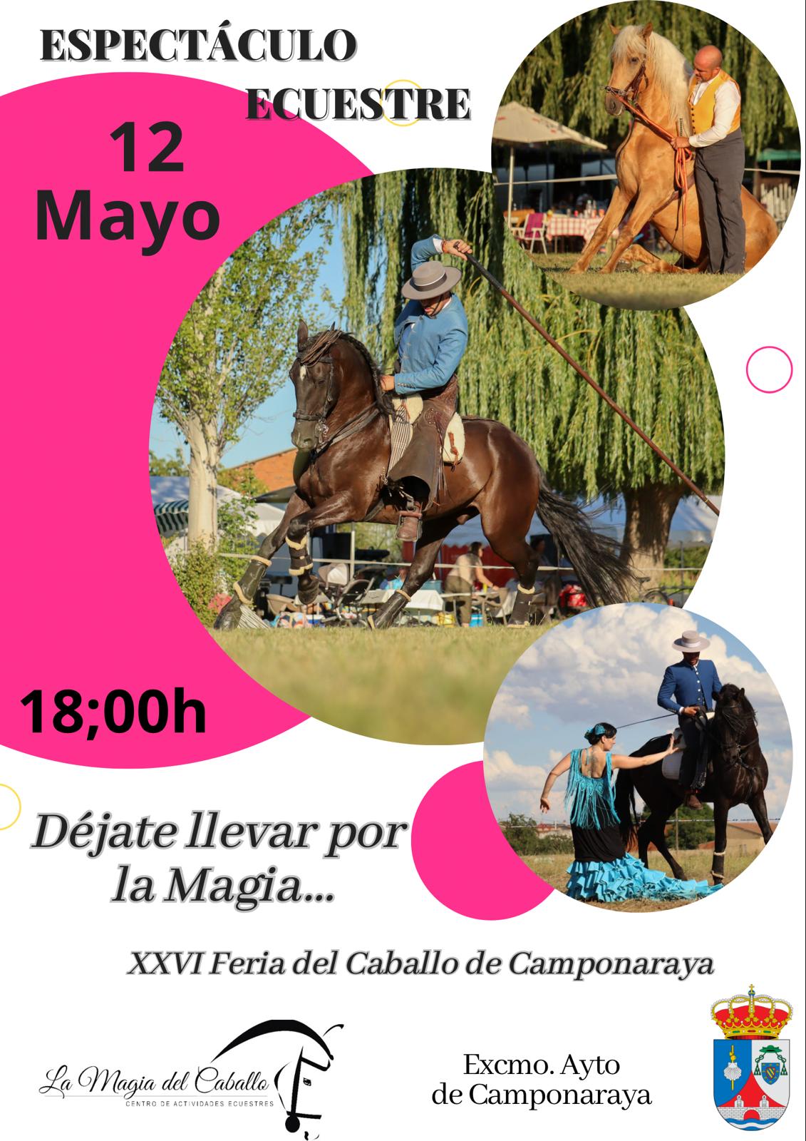 Cartel de La Magia del Caballo