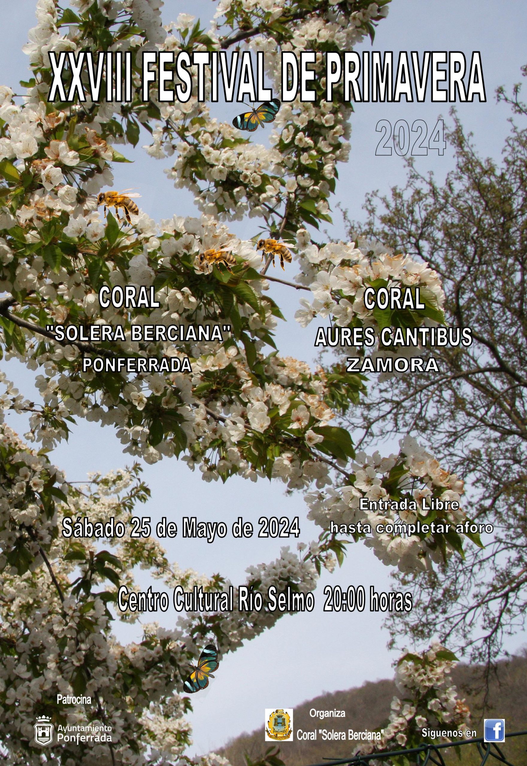 Cartel del XXVIII Festival de Primavera de la Coral Solera Berciana. / EBD