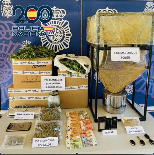 La Policía Nacional detiene a una pareja que cultivaba más de 700 plantas de marihuana en un chalet de Ponferrada