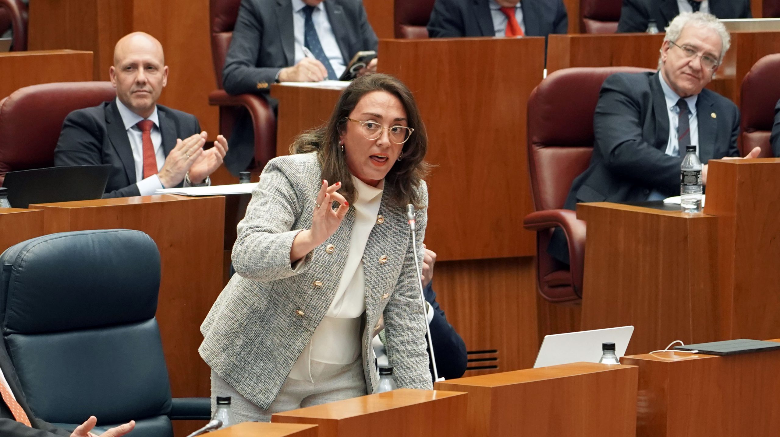 La consejera de Movilidad, María González, durante el pleno de las Cortes de Castilla y León