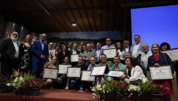 XV edición de los Premios Palacio de Canedo