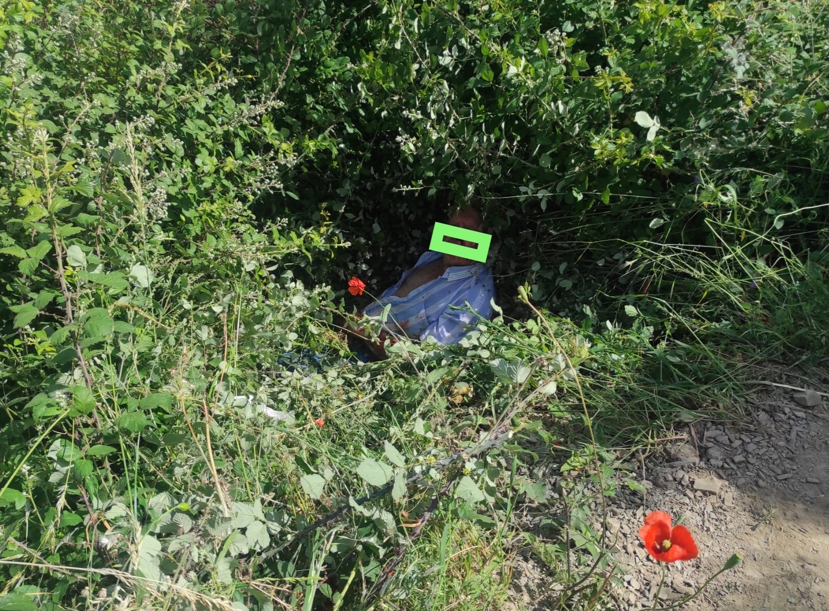 Un anciano resulta herido en Ponferrada tras sufrir una caída en la ladera del Monte Pajariel