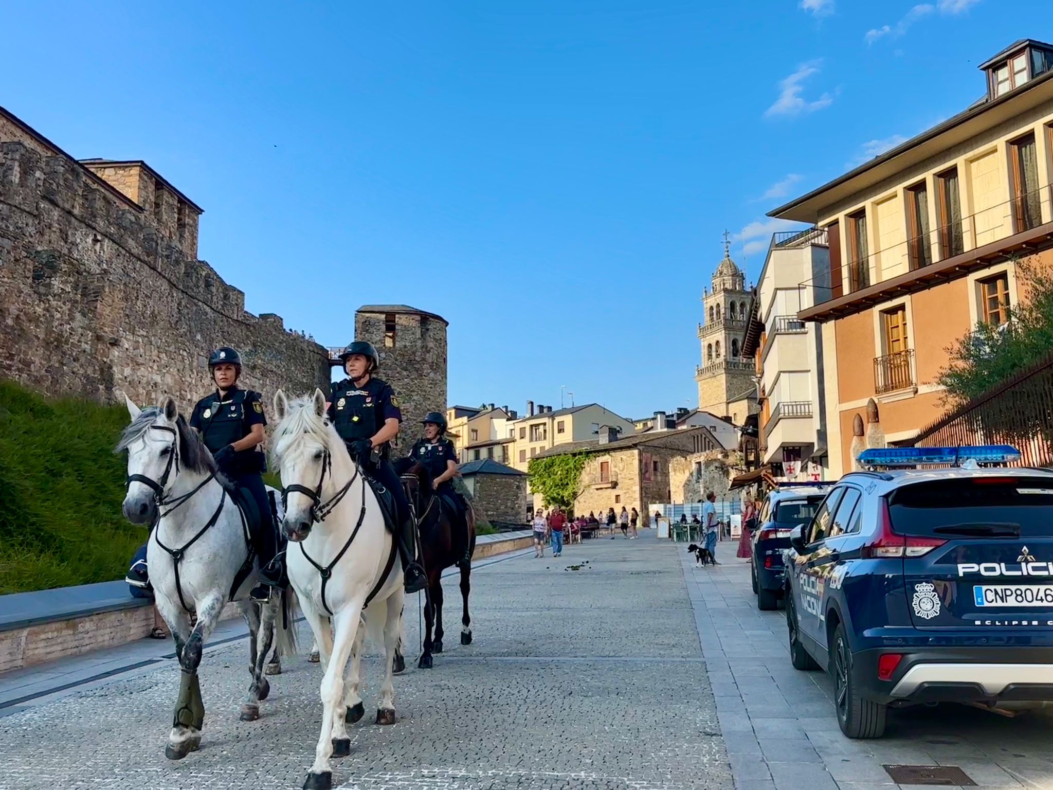 Unidad de Caballería de la Policía Nacional. / EBD