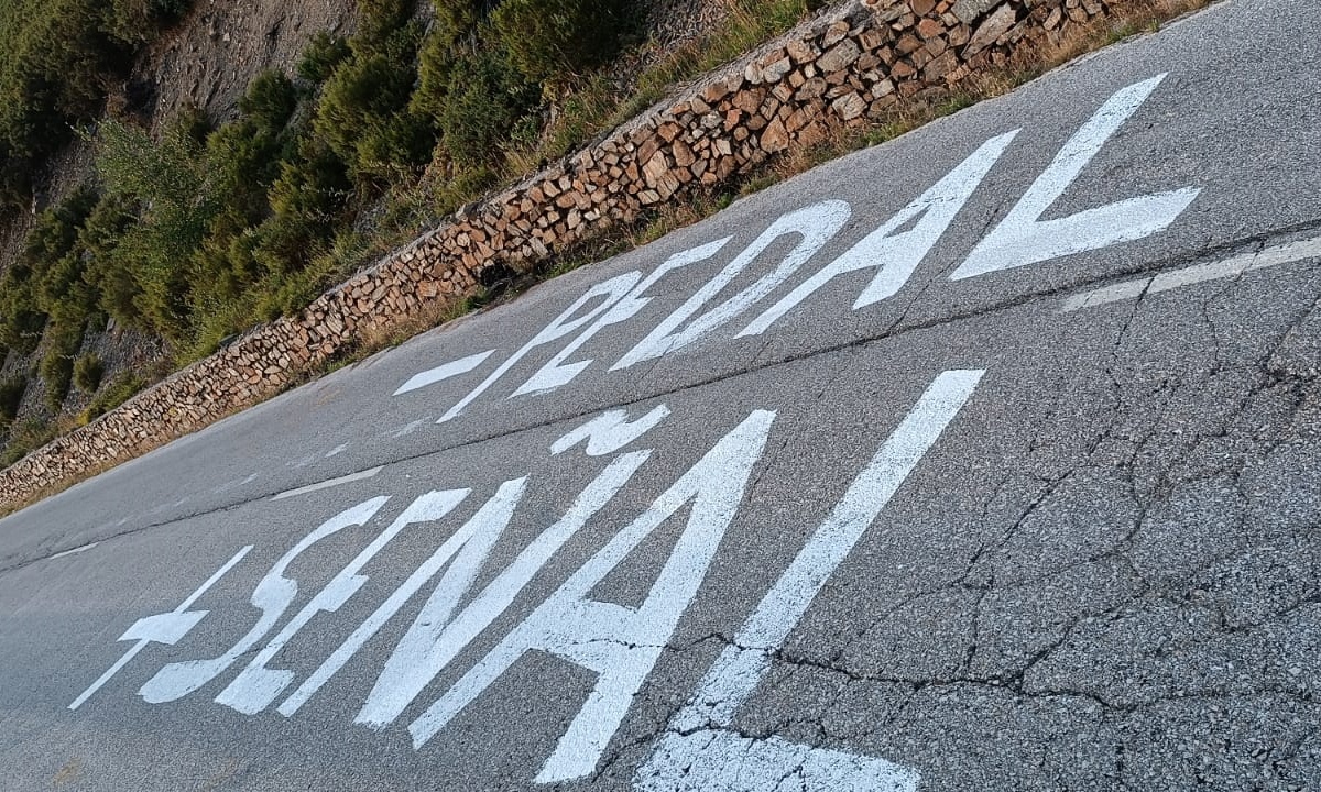 Pintadas reivindicativas de la Somoza en la ascensión al puerto de Ancares