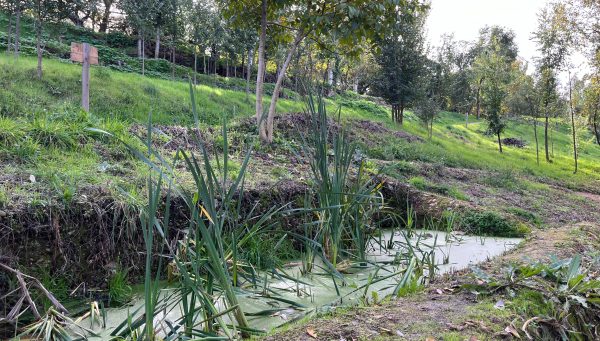 Actuación del Anillo Verde en el parque del Plantío de Ponferrada. CC