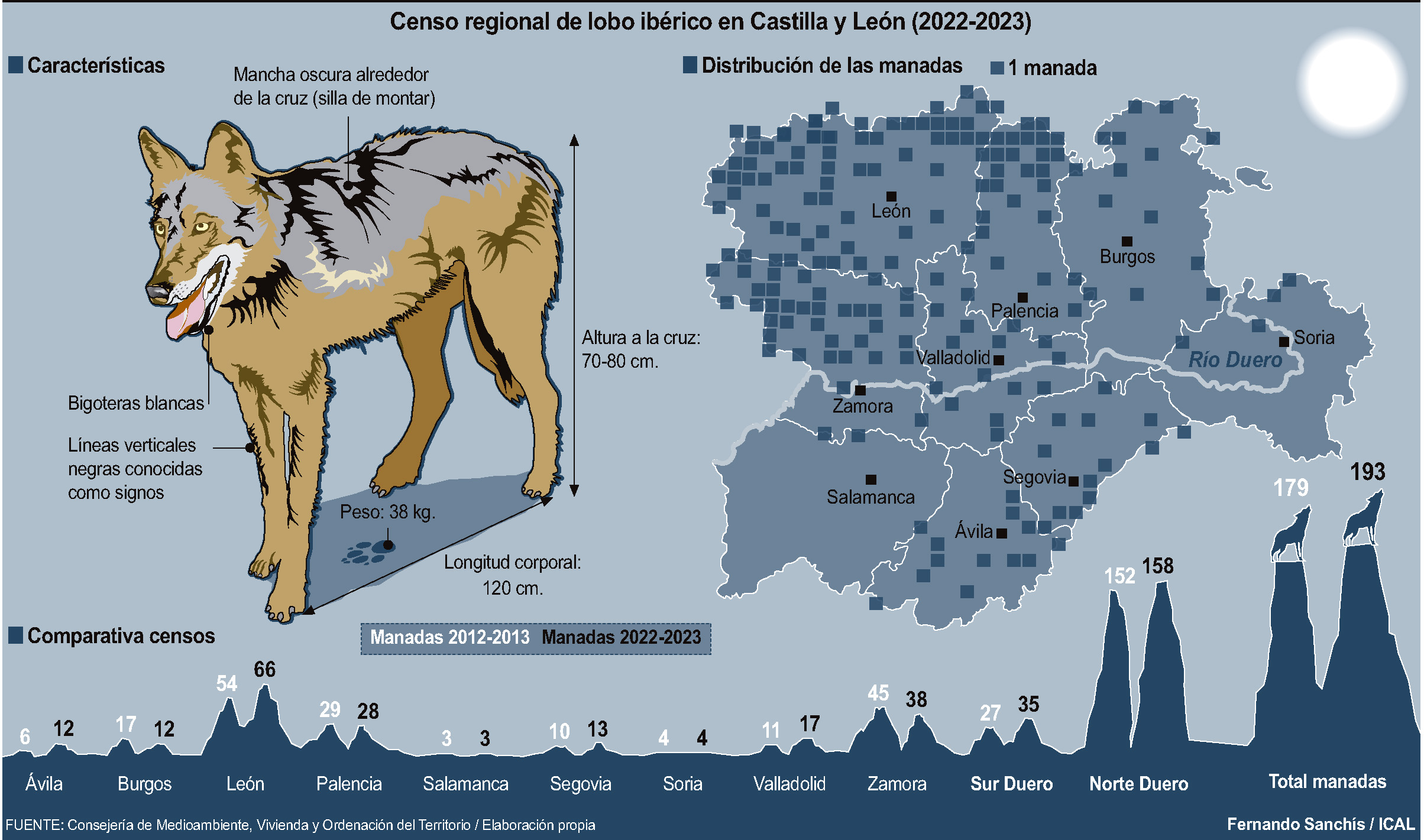 Censo regional de lobo ibérico en Castilla y León