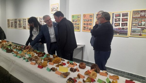 La Asociación Micológica Berciana Cantharellus ha arrancado las XXIX Jornadas Micológicas del Bierzo