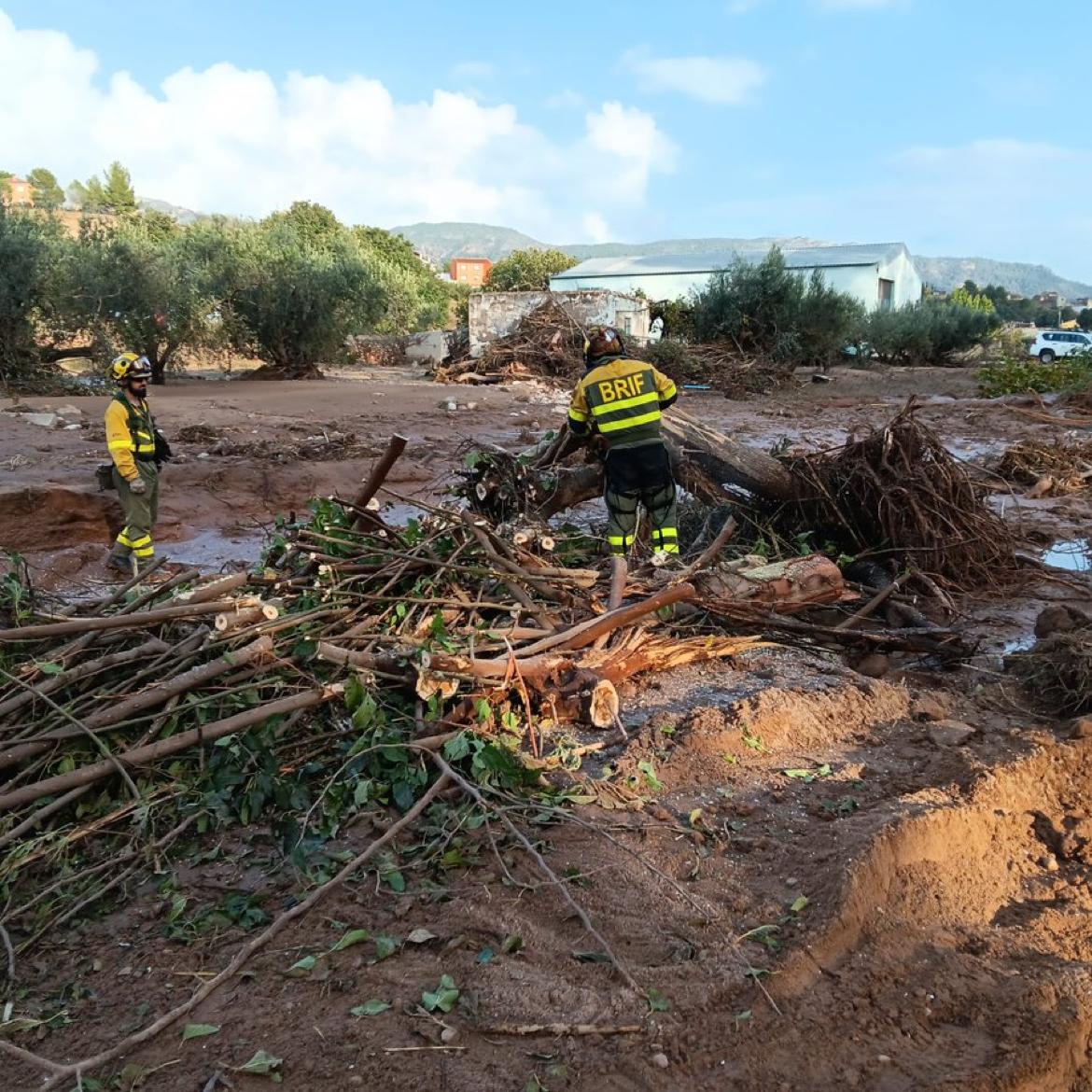 BRIF de Tabuyo (Ministerio para la Transición Ecológica y el Reto Demográfico)