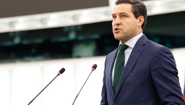 Raúl de la Hoz, durante una intervención en el Parlamento Europeo.