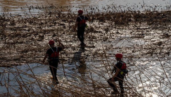 El V batallón de la UME con sede en León, rastrea la Albufera en la localidad de Masanasa en busca de desaparecidos.