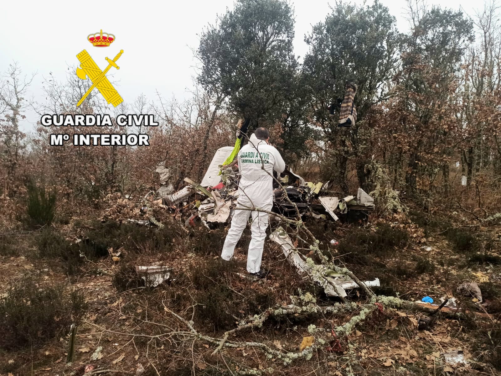 Trabajos de recuperación de los cuerpos de los fallecidos en el accidente aéreo de Cimanes del Tejar