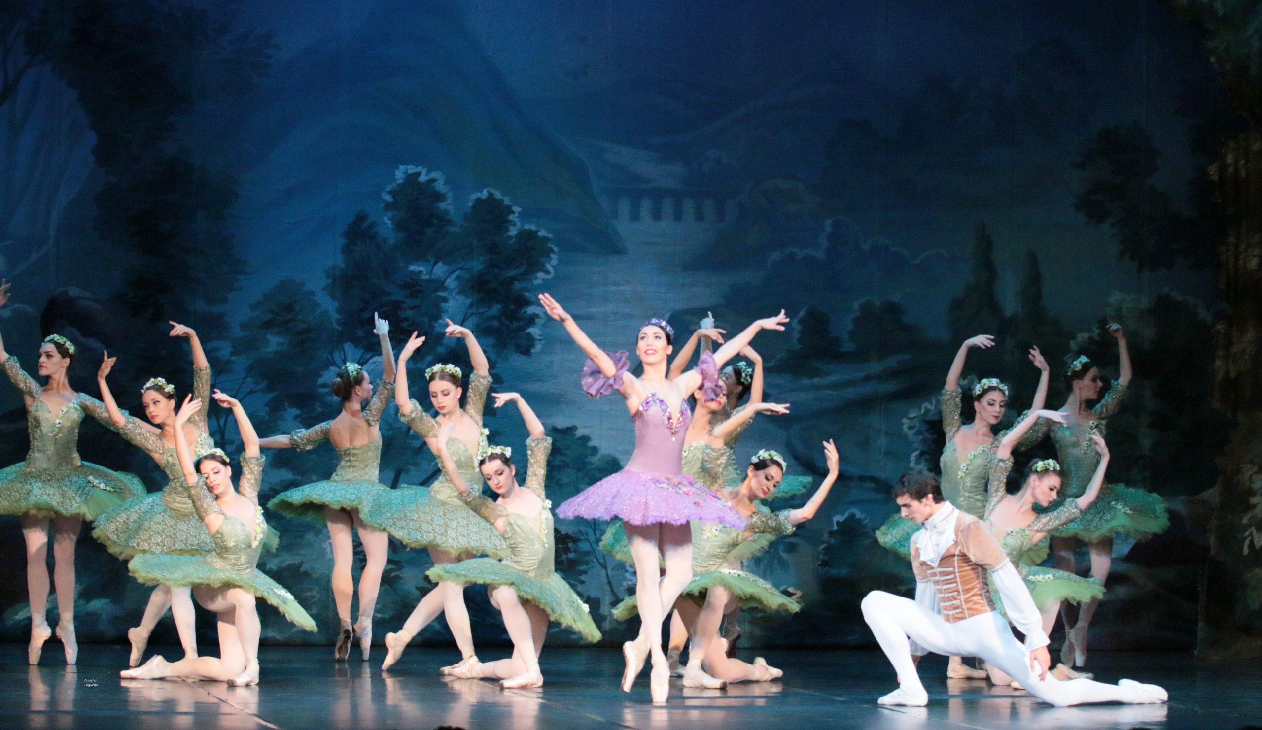 Ballet La bella durmiente